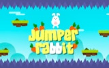 Bunny Carrot Hop Adventure