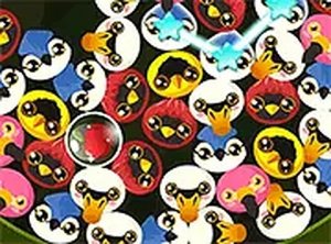 Birds Chain Online Game
