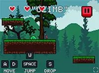 Lost in the Woods Adventure Game