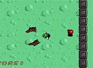 For An Apple Online Game