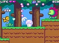 Forest Animal Arcade Adventure